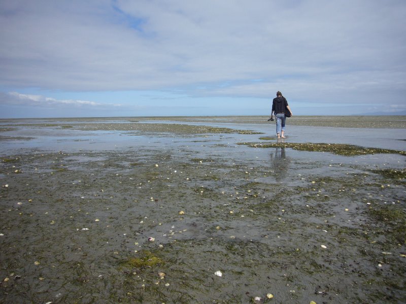 North West and Farewell Spit